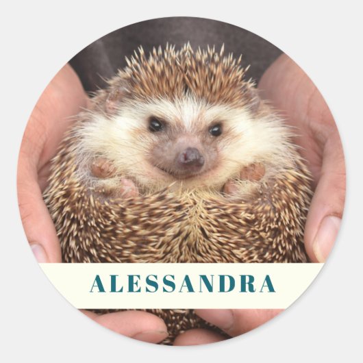 Hedgehog in Hands写真 ラウンドシール (正面)