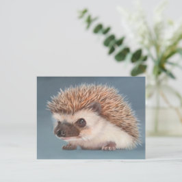 Hedgehog Postcard ポストカード