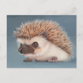 Hedgehog Postcard ポストカード (正面)