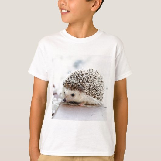 Hedgehog Tシャツ (正面)