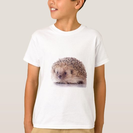 Hedgehog, Tシャツ (正面)