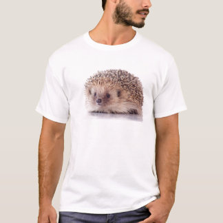 Hedgehog, Tシャツ