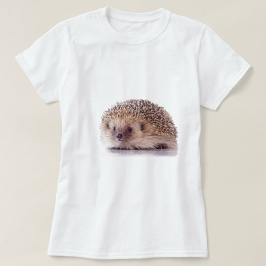 Hedgehog, Tシャツ (デザイン正面)
