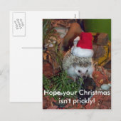 Hedgieはハリネズミメリークリスマスを望みます シーズンポストカード (正面/裏面)