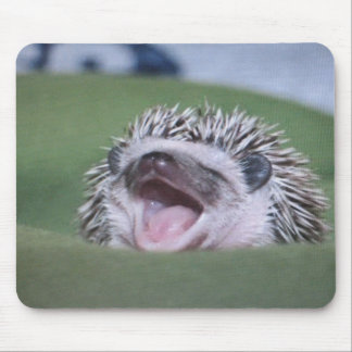 hedgy マウスパッド
