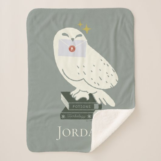 Hedwig With Letter Whimsical Drawing シェルパブランケット (正面)