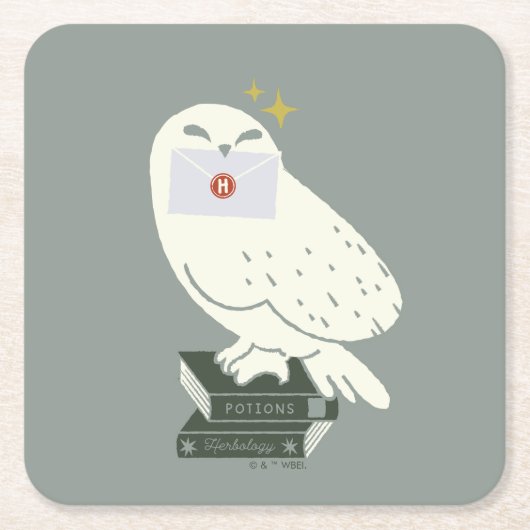 Hedwig With Letter Whimsical Drawing スクエアペーパーコースター (正面)