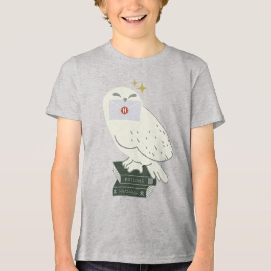 Hedwig With Letter Whimsical Drawing トライブレンドＴシャツ (正面)