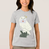 Hedwig With Letter Whimsical Drawing トライブレンドＴシャツ (正面)