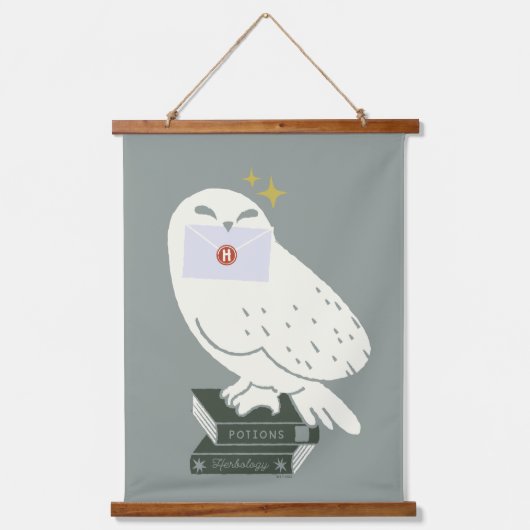 Hedwig With Letter Whimsical Drawing 吊り下げ型タペストリー (正面)