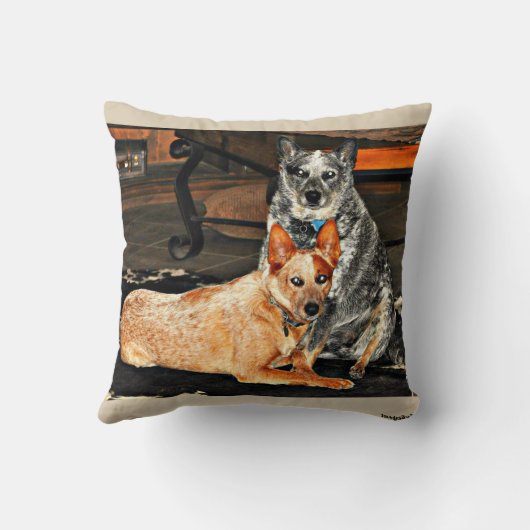 Heelerの青か赤い装飾用クッション クッション (裏面)