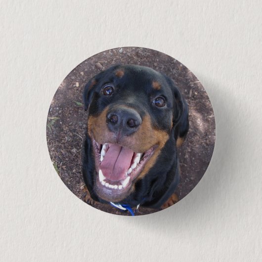 Heidi Happy Rottweiler Button 缶バッジ (正面)