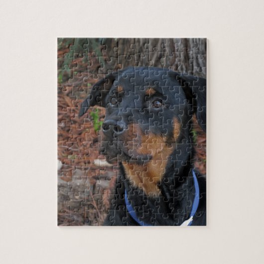 Heidi Rottweiler Puzzle ジグソーパズル (縦)