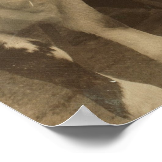 Heifers ポスター (角)