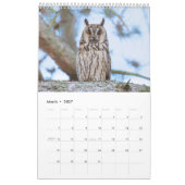 Heimische Vögel Kalender カレンダー (3月 2027)