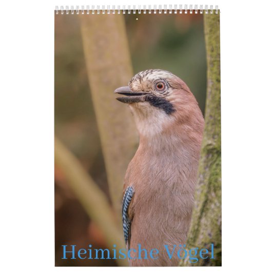 Heimische Vögel Kalender カレンダー (カバー)