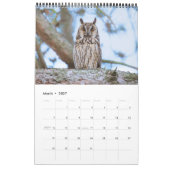 Heimische Wildtiere Kalender カレンダー (3月 2027)