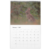 Heimische Wildtiere Kalender カレンダー (2月 2027)