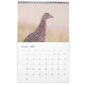 Heimische Wildtiere Kalender カレンダー (1月 2027)