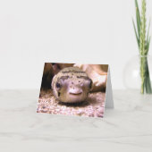 HelaineのフグのPufferfish カード (正面)