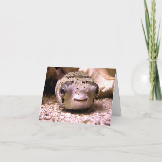 HelaineのフグのPufferfish カード (正面)