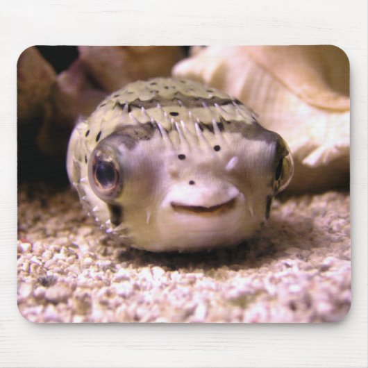 HelaineのフグのPufferfish マウスパッド (正面)