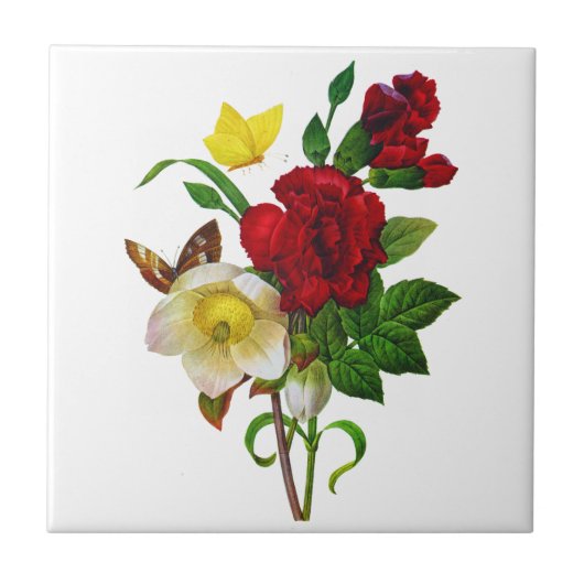 Helebore，クリスマスバラby Pierre Joseph Redoute タイル (正面)