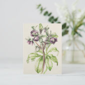 Helen BallardのHelleborus Orientalis ポストカード (スタンド正面)