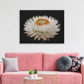 Helichrysum Flower Canvas Print キャンバスプリント (インサイチュ (リビング))
