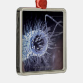 helicobacterの幽門の細胞の構造 メタルオーナメント (右)