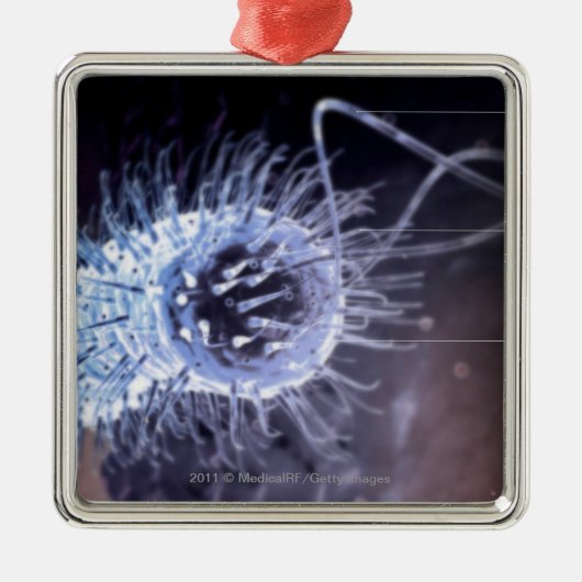 helicobacterの幽門の細胞の構造 メタルオーナメント (正面)