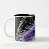 helicobacterの幽門の細胞の顕微鏡の概観 ツートーンマグカップ (左)