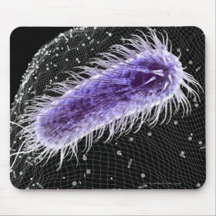 helicobacterの幽門の細胞の顕微鏡の概観 マウスパッド