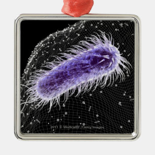 helicobacterの幽門の細胞の顕微鏡の概観 メタルオーナメント