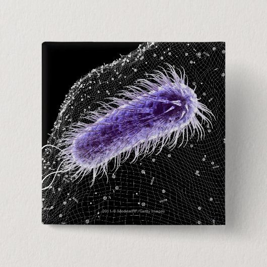 helicobacterの幽門の細胞の顕微鏡の概観 缶バッジ (正面)