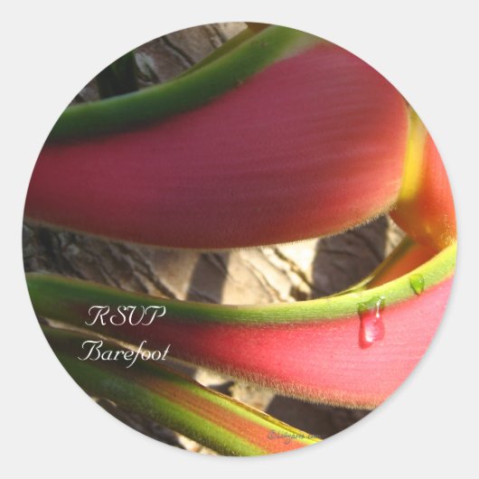 Heliconiaの熱帯結婚式の封筒用シール ラウンドシール (正面)