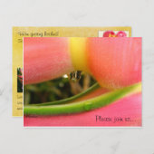 HeliconiaTropical日付の結婚式カードを保存 案内ポストカード (正面/裏面)