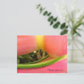 HeliconiaTropical日付の結婚式カードを保存 案内ポストカード (スタンド正面)