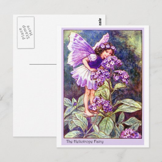 Heliotropeの妖精 ポストカード (正面/裏面)