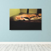 Helix, Boaくびれインペレーター キャンバスプリント (インサイチュ (ウッドフロア))