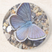 Hellblauer Schmetterling コースター (正面)