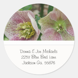 Hellebores Flowers Address Stickers ラウンドシール