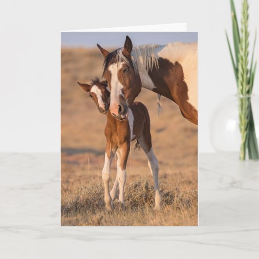 「Helloベビー」ノートカード カード (正面)