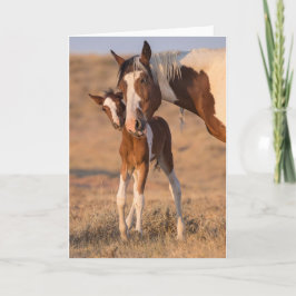 「Helloベビー」ノートカード カード