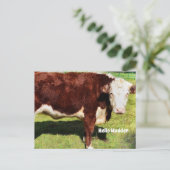 Helloポストカード ポストカード (スタンド正面)