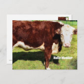 Helloポストカード ポストカード (正面/裏面)