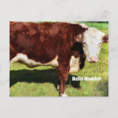 Helloポストカード ポストカード (正面)