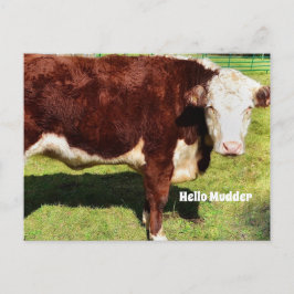 Helloポストカード ポストカード