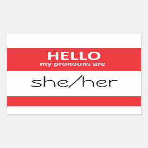HELLO私の代名詞は彼女/彼女のステッカー 長方形シール