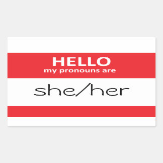 HELLO私の代名詞は彼女/彼女のステッカー 長方形シール